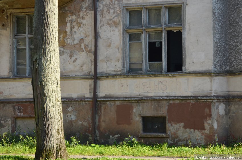 Окна нашего городка — Культура