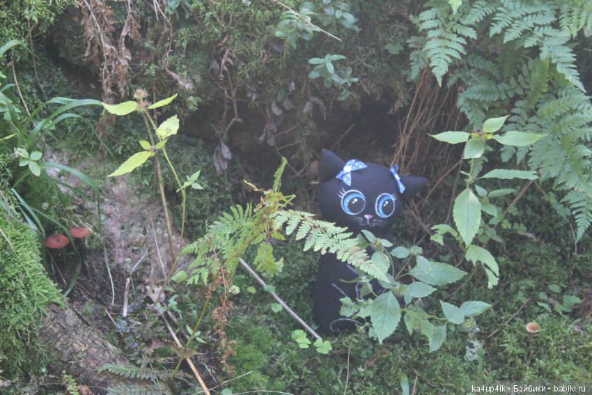 Кошечка красавица — Домашние фото авторских игрушек: Тедди