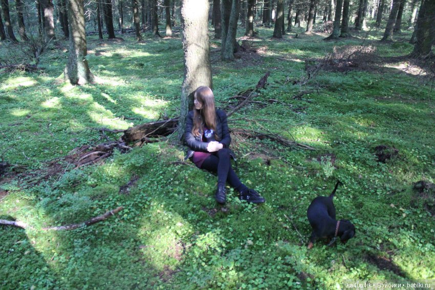 Кошечка красавица — Домашние фото авторских игрушек: Тедди