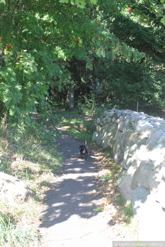 Кошечка красавица — Домашние фото авторских игрушек: Тедди