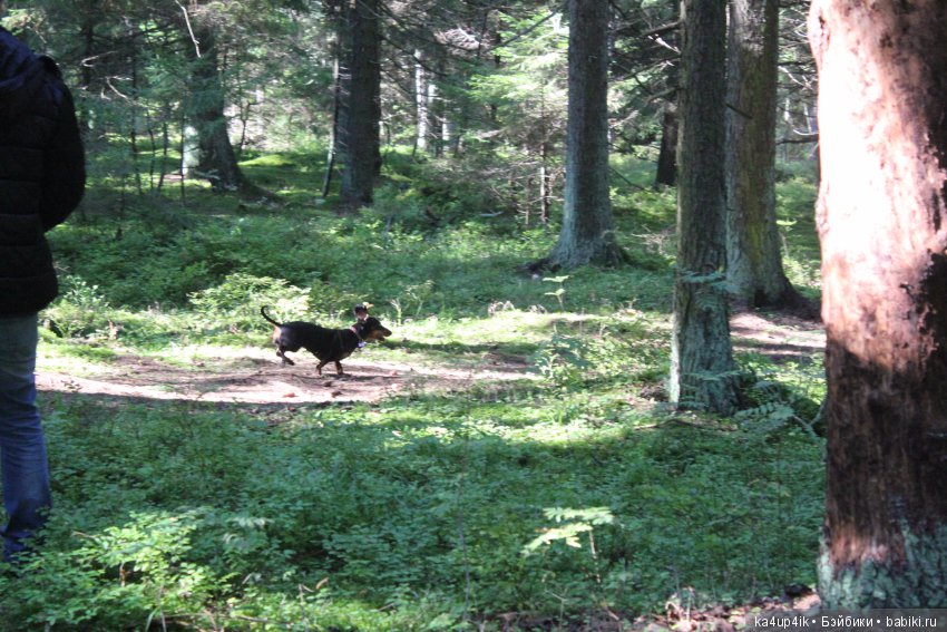 Кошечка красавица — Домашние фото авторских игрушек: Тедди (фото 3)