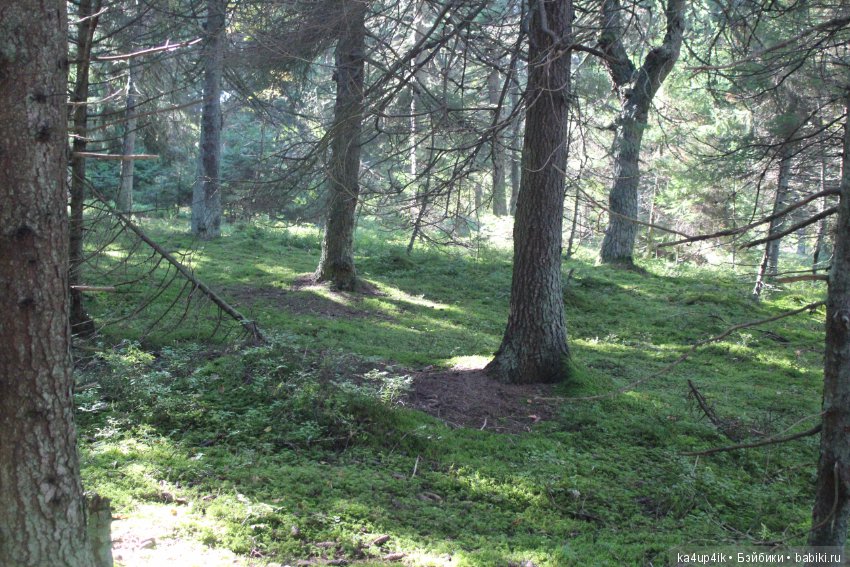 Кошечка красавица — Домашние фото авторских игрушек: Тедди