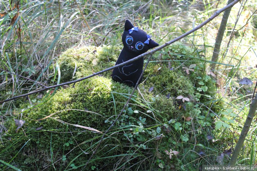 Кошечка красавица — Домашние фото авторских игрушек: Тедди