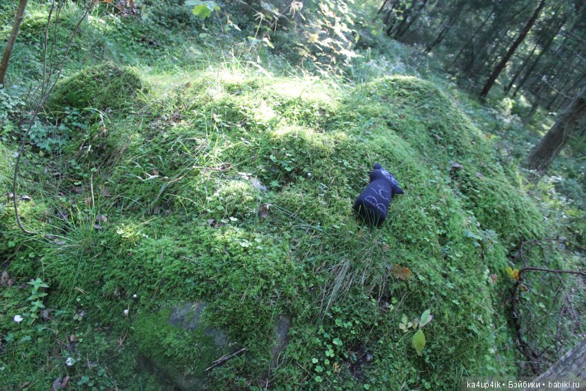 Кошечка красавица — Домашние фото авторских игрушек: Тедди