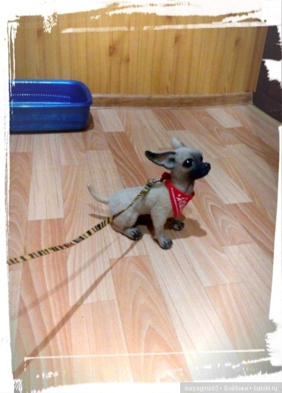 Чихуа — Валяные игрушки из шерсти: сухое валяние