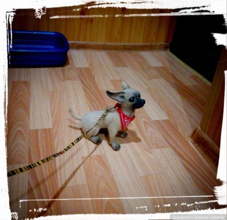 Чихуа — Валяные игрушки из шерсти: сухое валяние (фото 2)