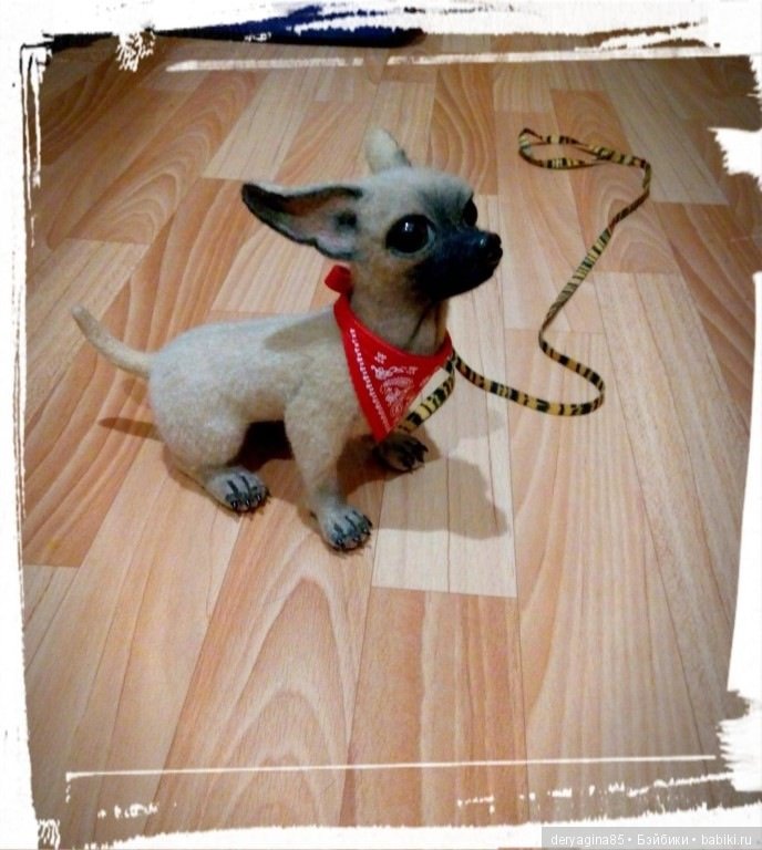 Чихуа — Валяные игрушки из шерсти: сухое валяние (фото 3)