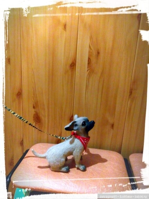 Чихуа — Валяные игрушки из шерсти: сухое валяние (фото 6)