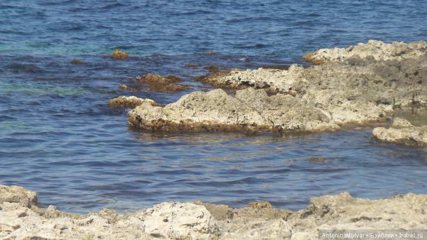 А у нас лето — Куклы LeeAnn (Denis Bastien) и Marianna Oldenburg: винил