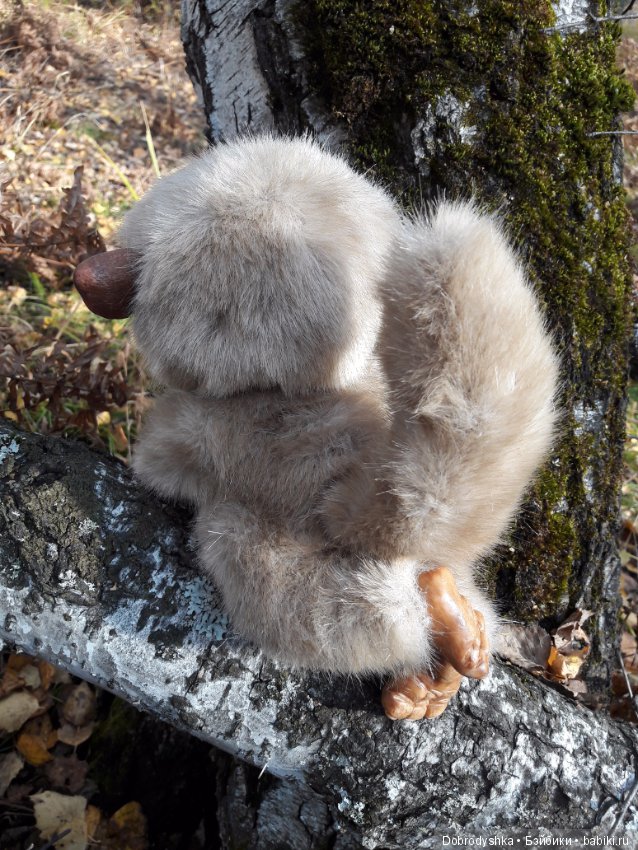 Вот и фоточки Волчонка — Игрушки в смешанной технике (мех и глина): Арт (фото 5)