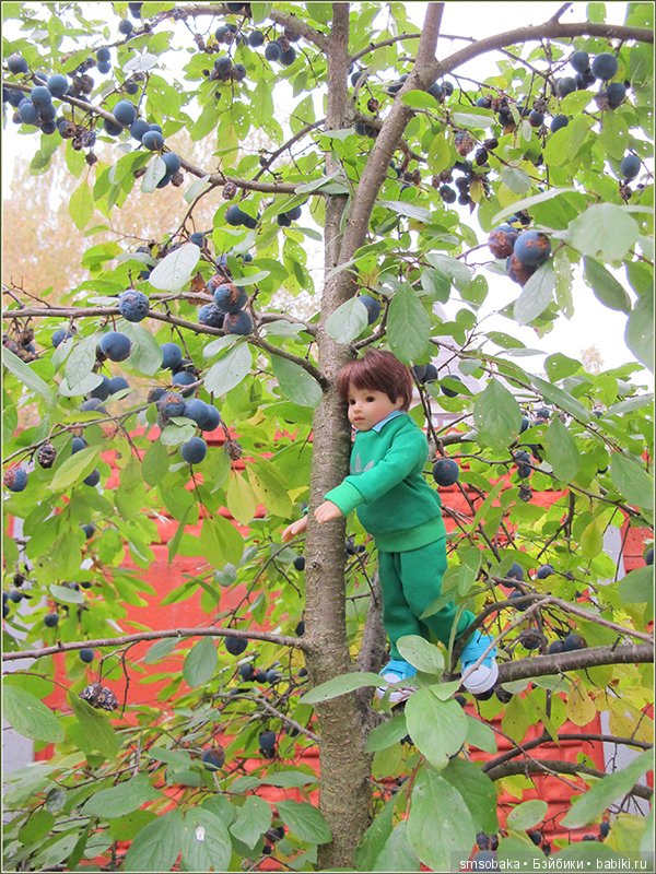 А, мы тут "Плюшечками" балуемся