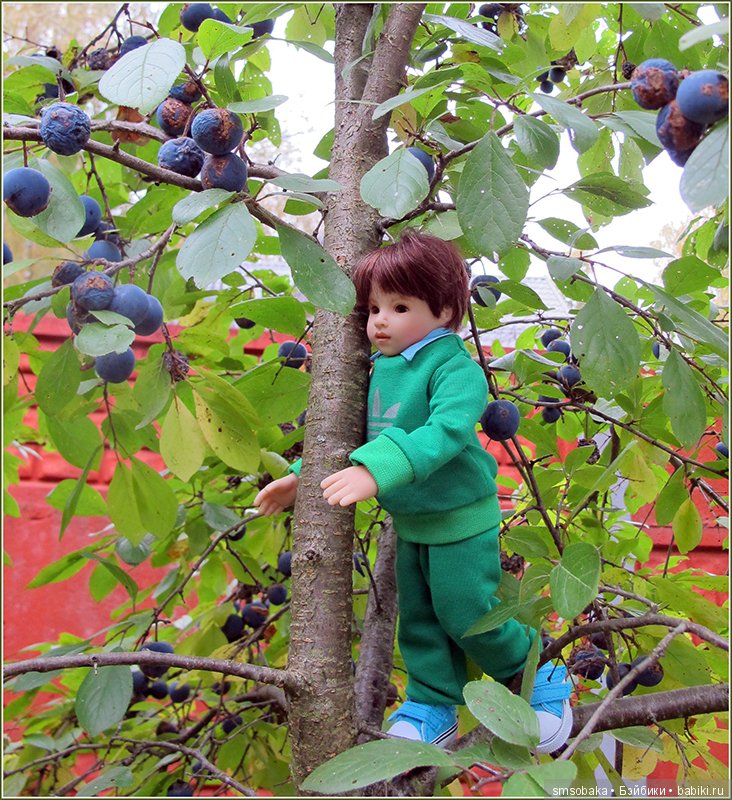 А, мы тут "Плюшечками" балуемся