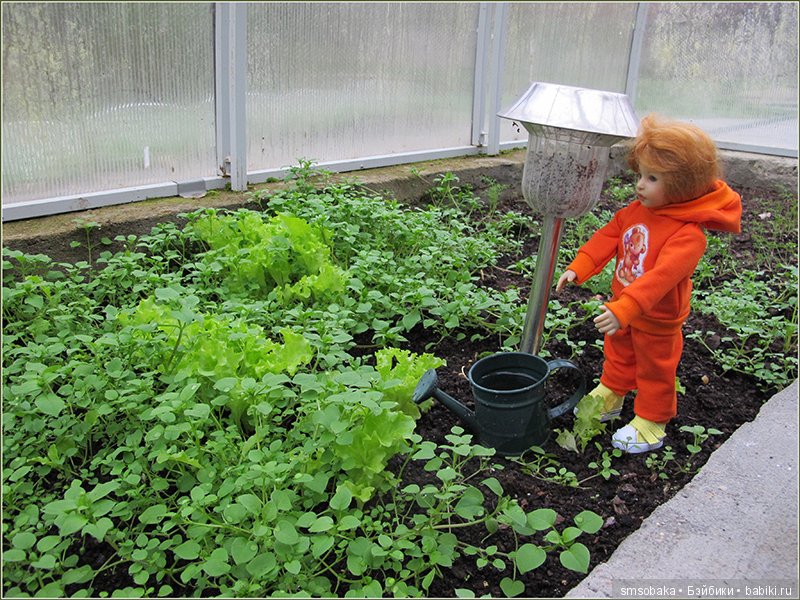 А, мы тут "Плюшечками" балуемся