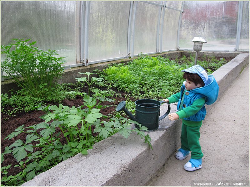 А, мы тут "Плюшечками" балуемся