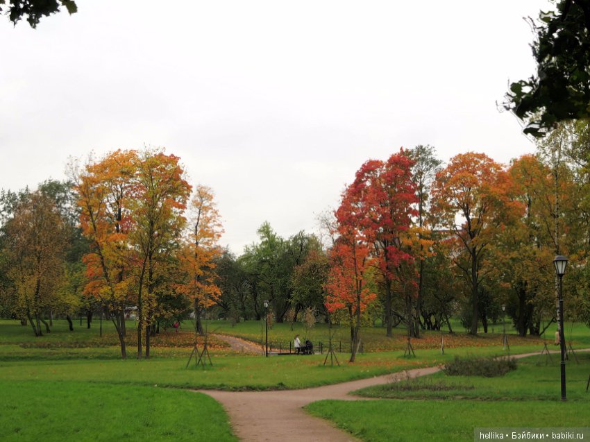 Карта парка куракина дача