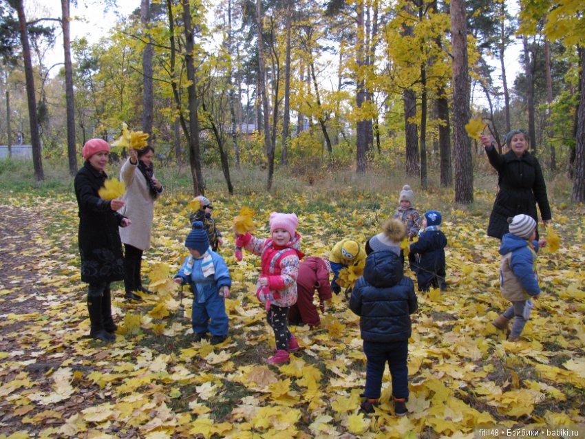 Прогулка в осенний лес — Интересное обо всем: поздравления