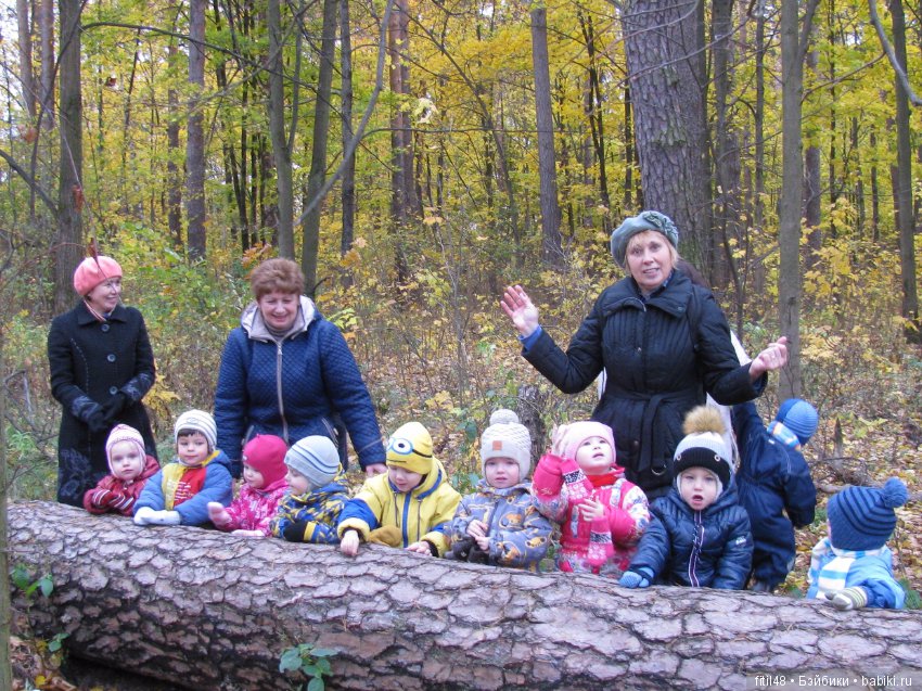 Прогулка в осенний лес — Интересное обо всем: поздравления (фото 10)