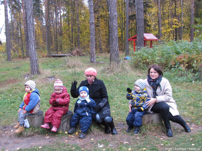 Прогулка в осенний лес — Интересное обо всем: поздравления (фото 5)