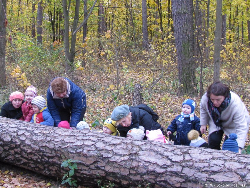 Прогулка в осенний лес — Интересное обо всем: поздравления (фото 9)
