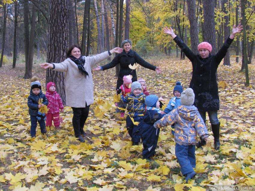 Прогулка в осенний лес — Интересное обо всем: поздравления (фото 3)