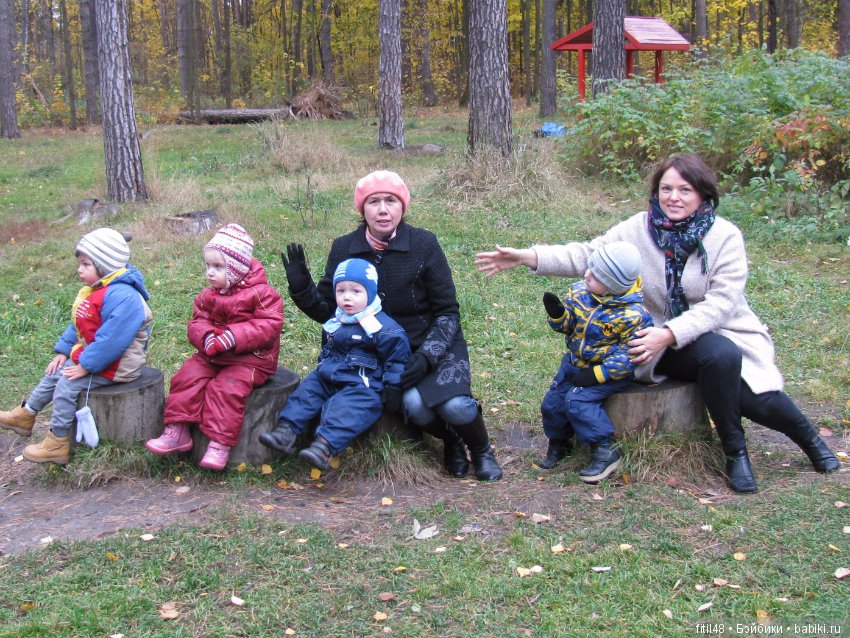 Прогулка в осенний лес — Интересное обо всем: поздравления (фото 6)