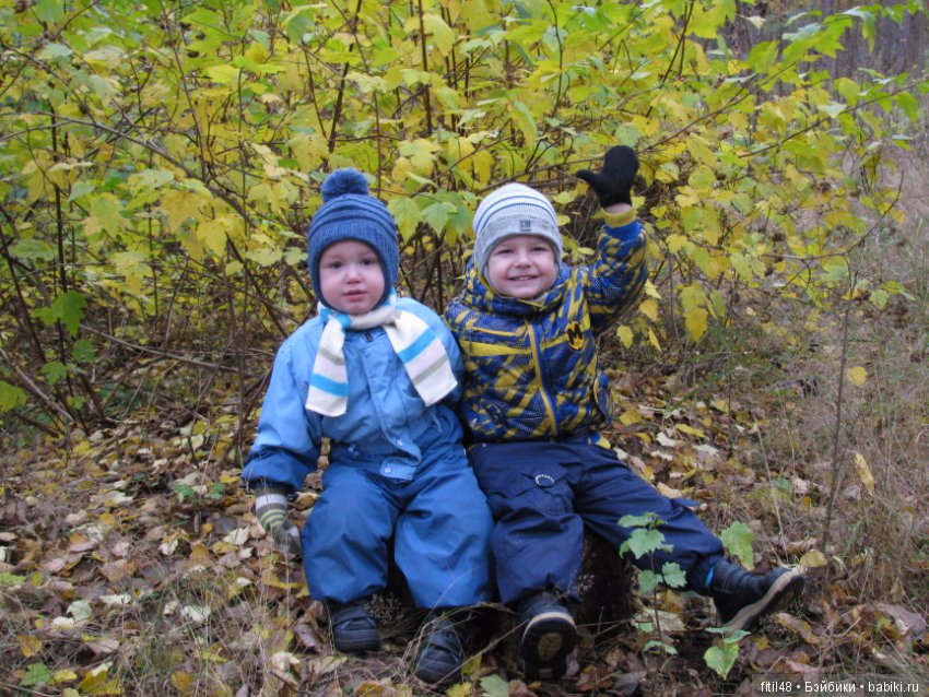 Прогулка в осенний лес — Интересное обо всем: поздравления (фото 4)