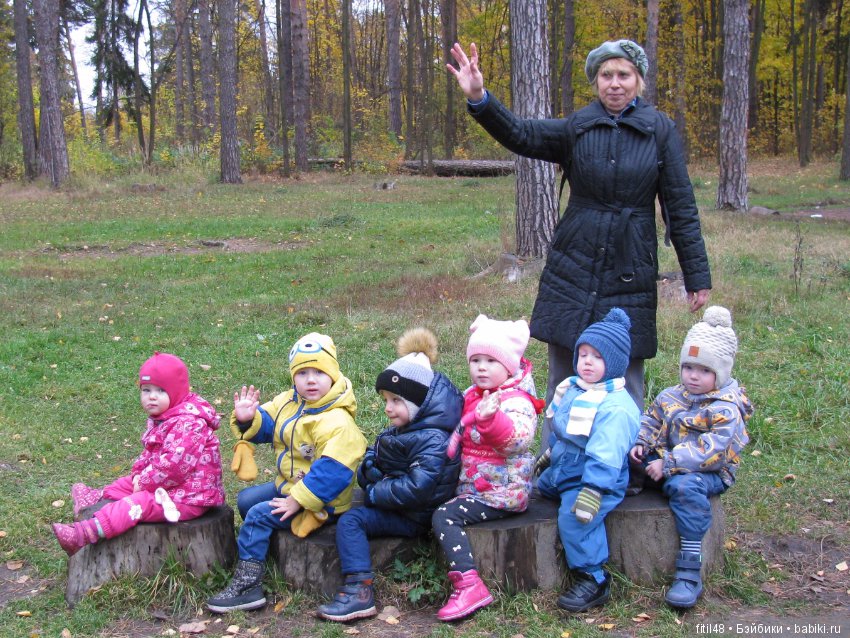 Прогулка в осенний лес — Интересное обо всем: поздравления (фото 8)