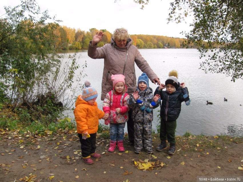 Прогулка в осенний лес — Интересное обо всем: поздравления