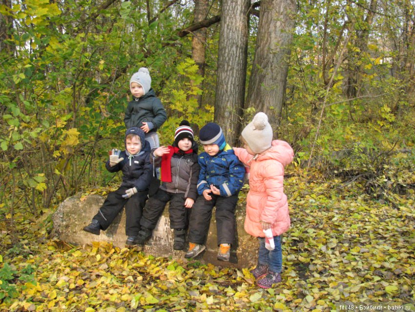 Прогулка в осенний лес — Интересное обо всем: поздравления