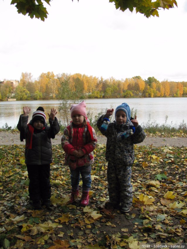 Прогулка в осенний лес — Интересное обо всем: поздравления