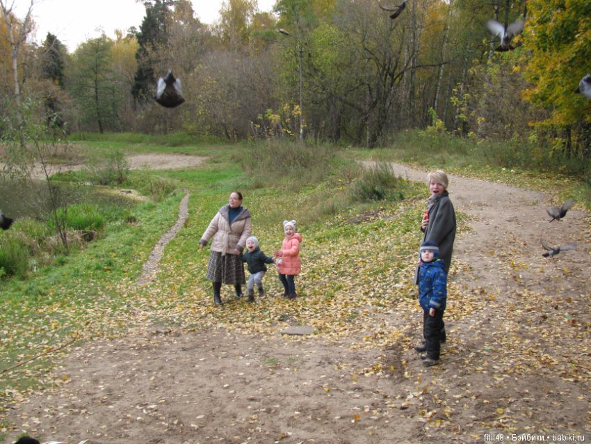 Прогулка в осенний лес — Интересное обо всем: поздравления