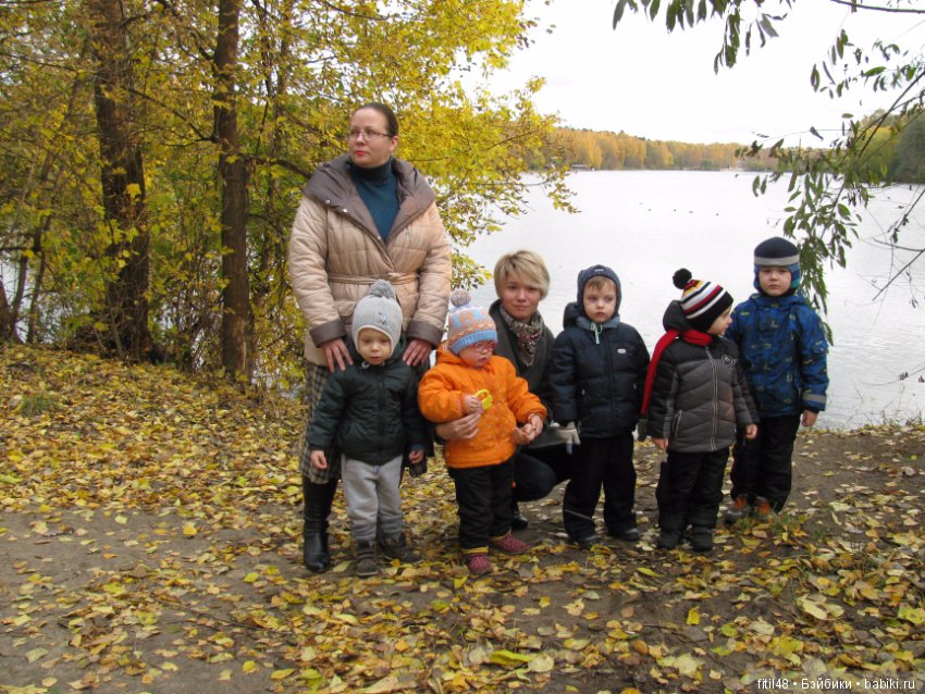 Прогулка в осенний лес — Интересное обо всем: поздравления