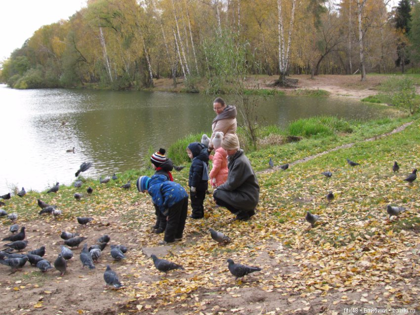Прогулка в осенний лес — Интересное обо всем: поздравления
