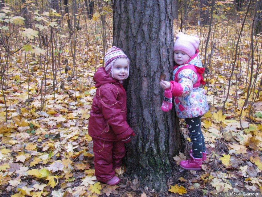 Прогулка в осенний лес — Интересное обо всем: поздравления