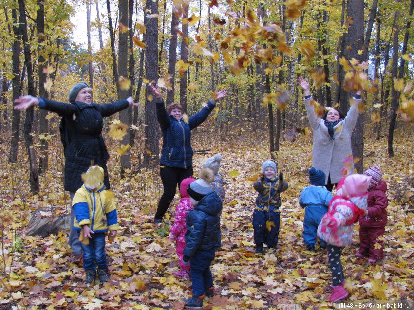 Прогулка в осенний лес — Интересное обо всем: поздравления