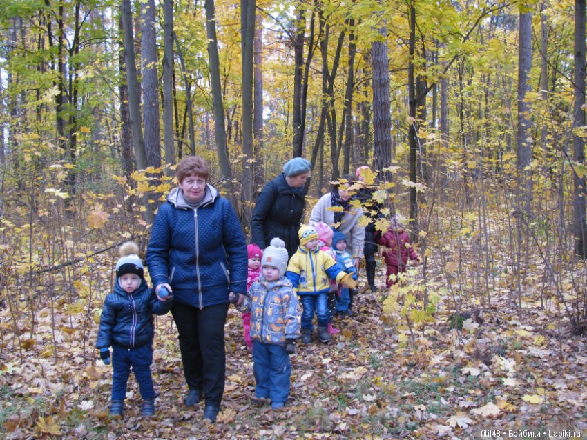 Прогулка в осенний лес — Интересное обо всем: поздравления