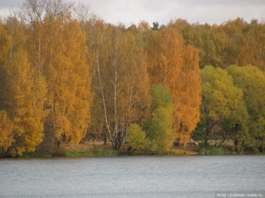 Прогулка в осенний лес — Интересное обо всем: поздравления