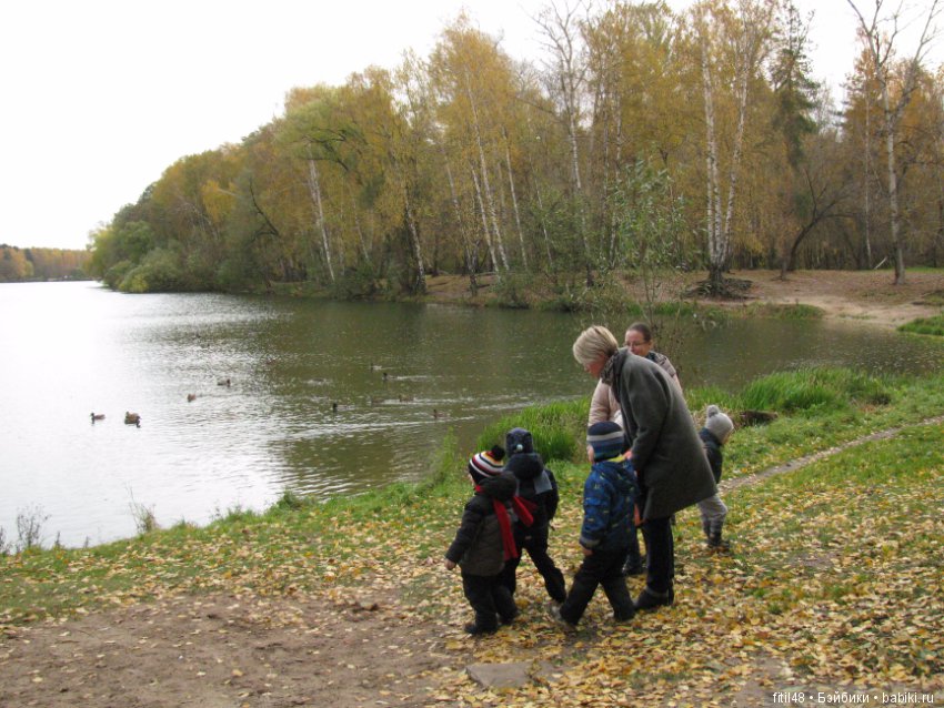 Прогулка в осенний лес — Интересное обо всем: поздравления