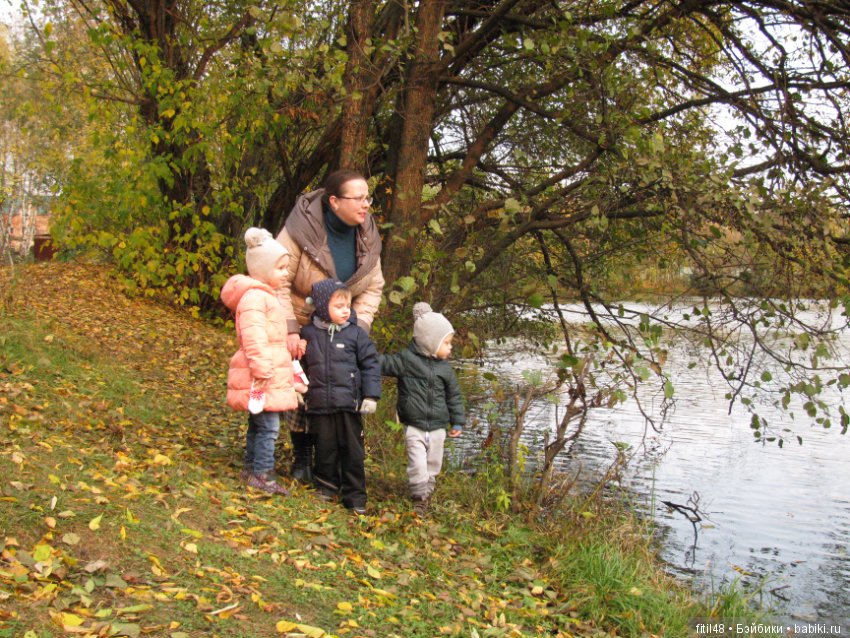 Прогулка в осенний лес — Интересное обо всем: поздравления