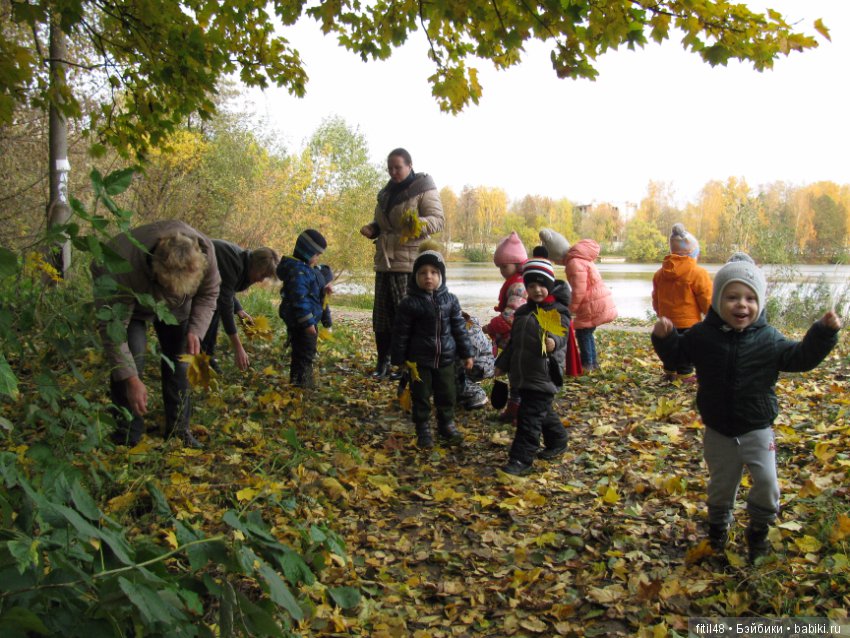 Прогулка в осенний лес — Интересное обо всем: поздравления