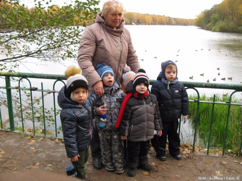 Прогулка в осенний лес — Интересное обо всем: поздравления