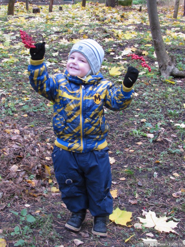 Прогулка в осенний лес — Интересное обо всем: поздравления