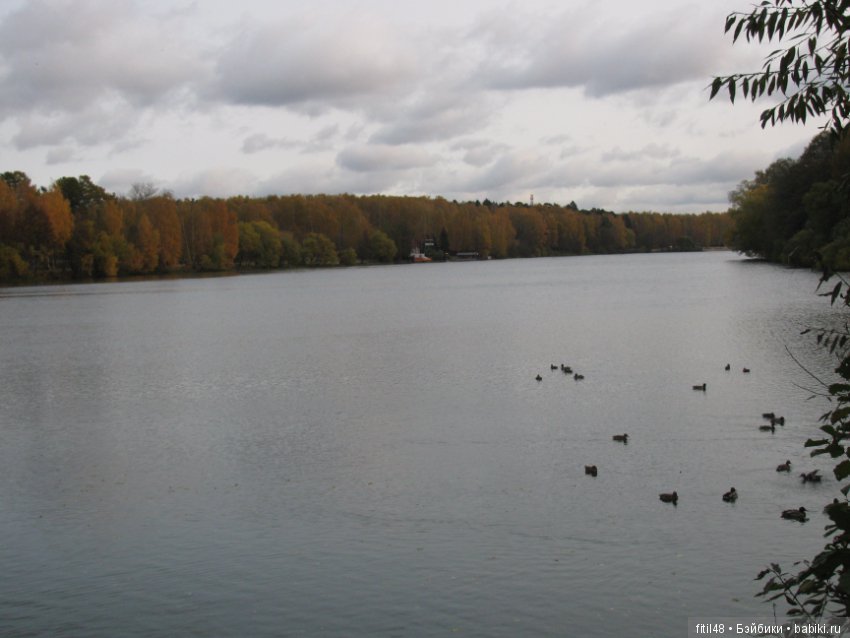 Прогулка в осенний лес — Интересное обо всем: поздравления
