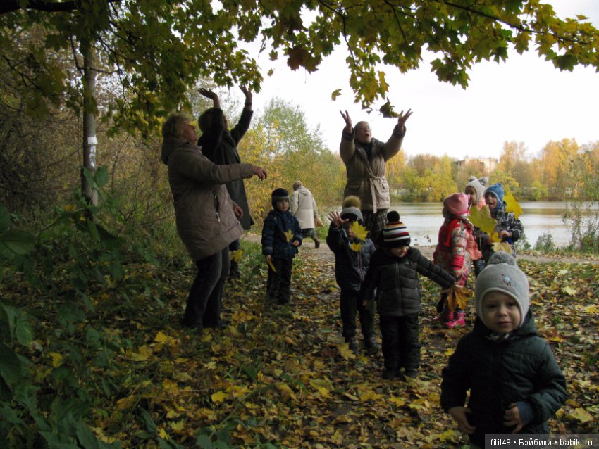 Прогулка в осенний лес — Интересное обо всем: поздравления