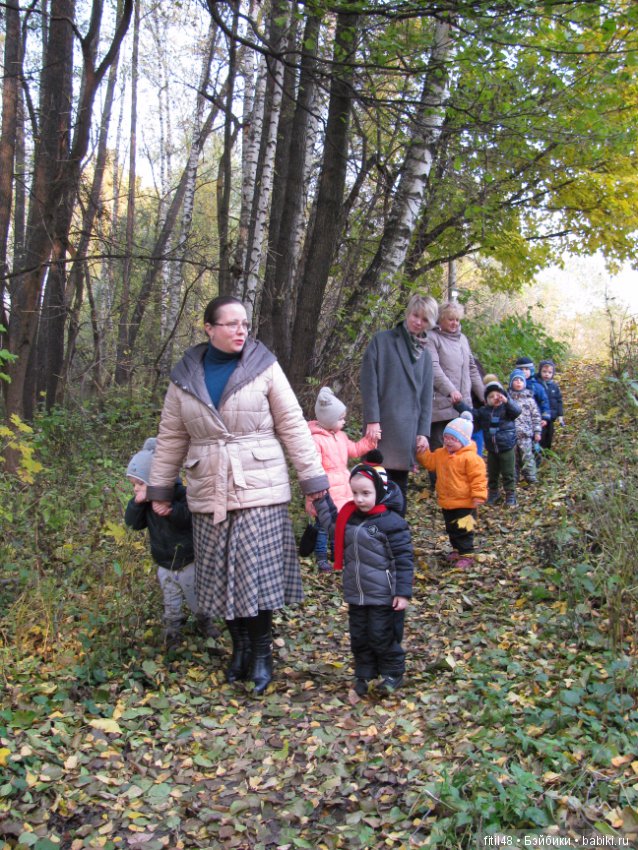 Прогулка в осенний лес — Интересное обо всем: поздравления