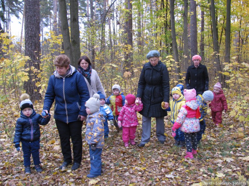 Прогулка в осенний лес — Интересное обо всем: поздравления