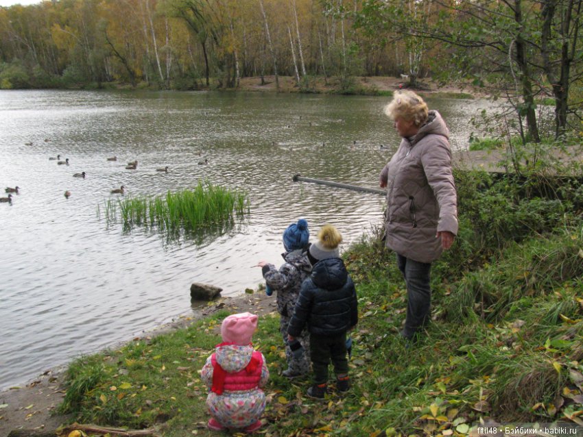 Прогулка в осенний лес — Интересное обо всем: поздравления