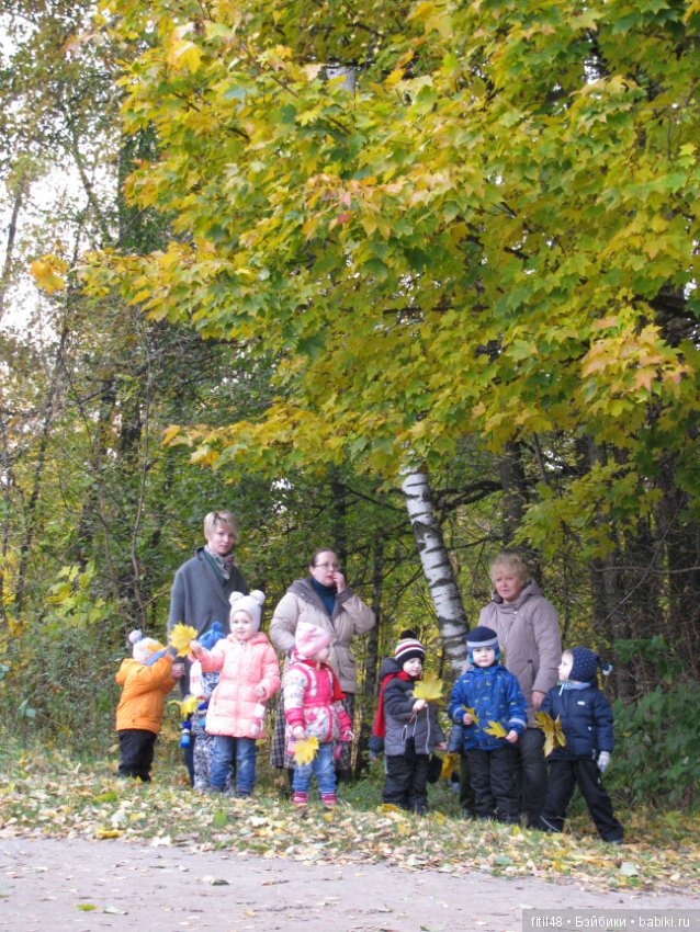 Прогулка в осенний лес — Интересное обо всем: поздравления