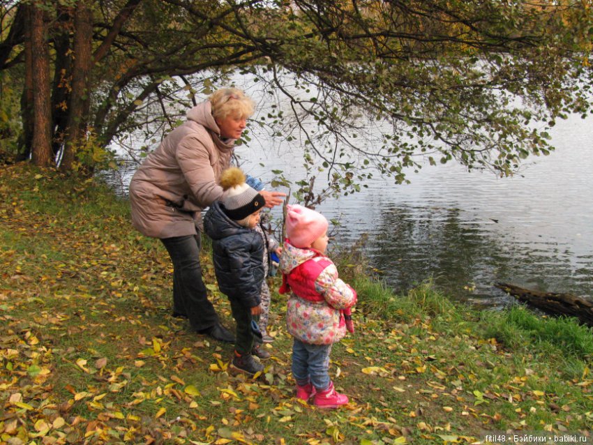 Прогулка в осенний лес — Интересное обо всем: поздравления