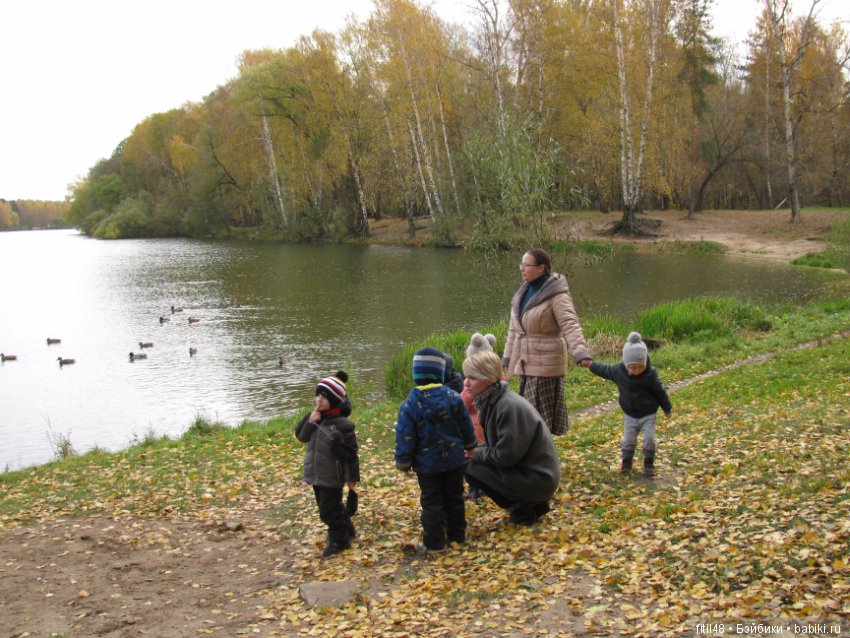 Прогулка в осенний лес — Интересное обо всем: поздравления
